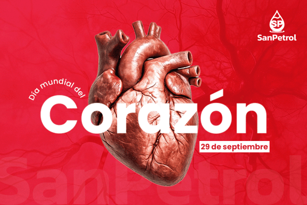Día Mundial del Corazón: Cuida tu Motor de Vida