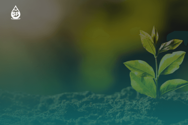 Sostenibilidad Ambiental: El Compromiso de SanPetrol con el Futuro